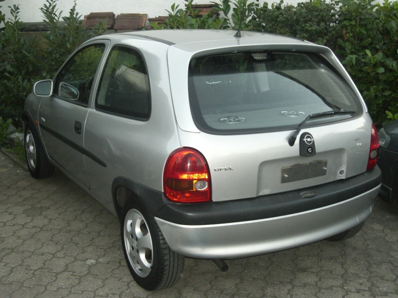 Elly´s Tigra Cimg3411