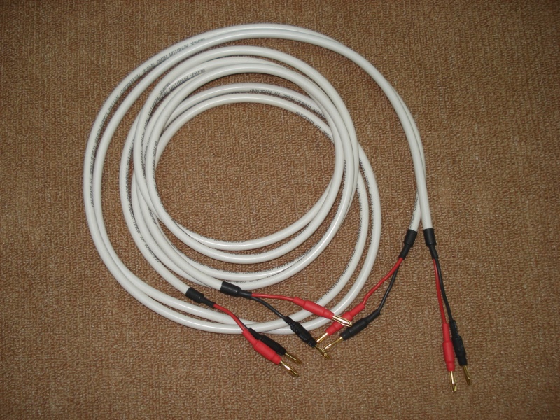 Speaker Cables: Audioquest/Cable Talk/Black Rhodium/Monitor Audio to clear Blackr10