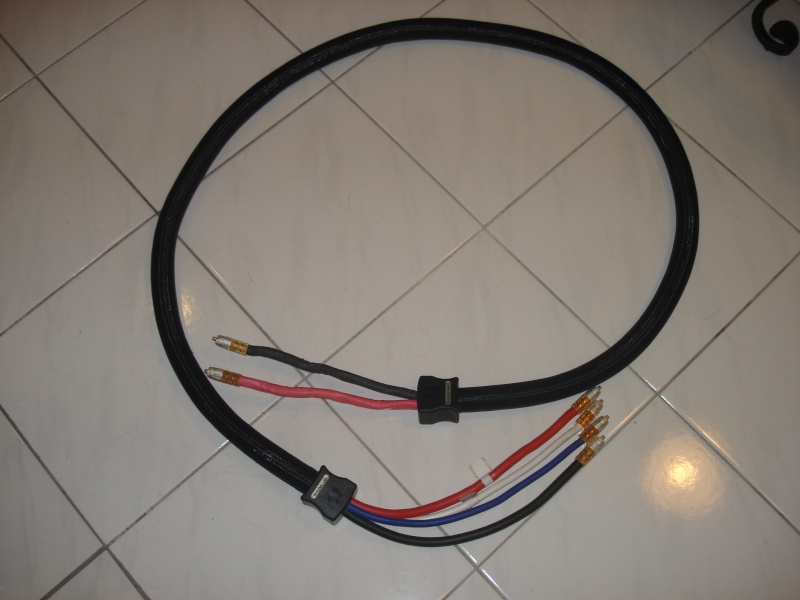 PS Audio xStream Statement bi-wire speaker cables 2.5m Psstat10
