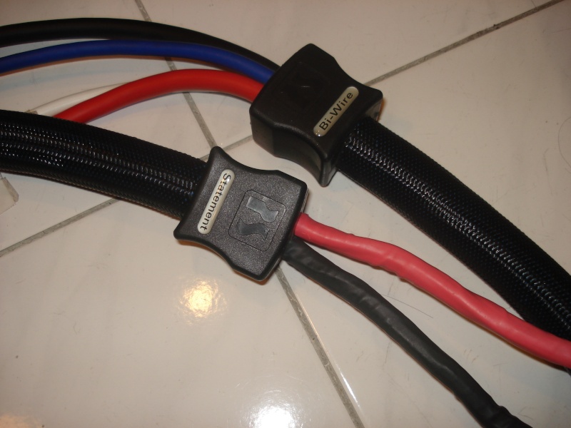 PS Audio xStream Statement bi-wire speaker cables 2.5m Psstat11