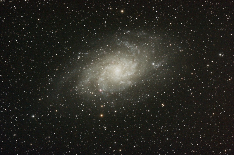 M33 galaxie du Triangle  M3310