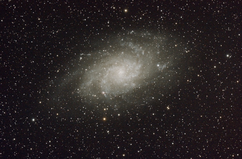 M33 galaxie du Triangle  M33_hl10