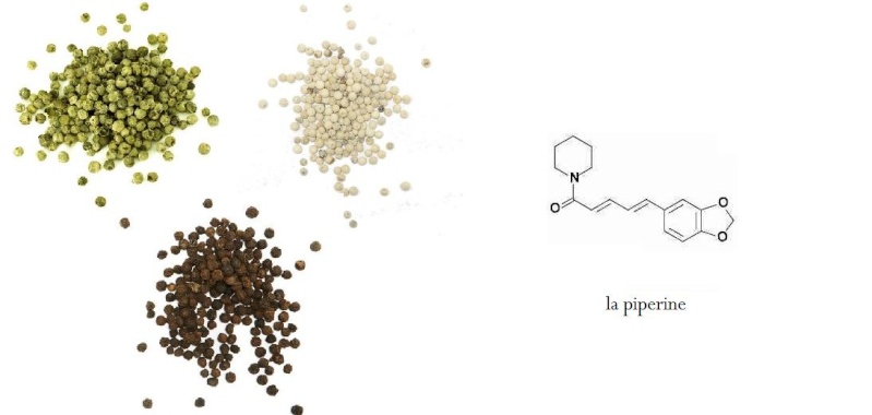 Dietétique medicale et sportive Sans_t11