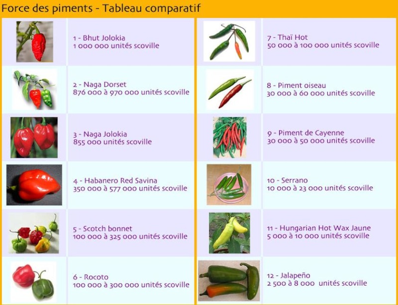 Dietétique medicale et sportive Scovil10