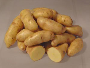 La patate babyled ! Finger10