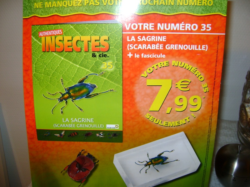 Nous faisons la collection des insectes géants et vous ? - Page 7 Dsc00115