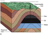 علم الطبقات وجيولوجيا النفط