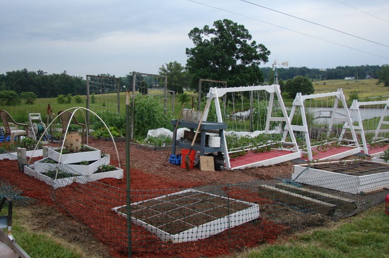 New beds and new trellis pictures from Knob Hill Dsc03612