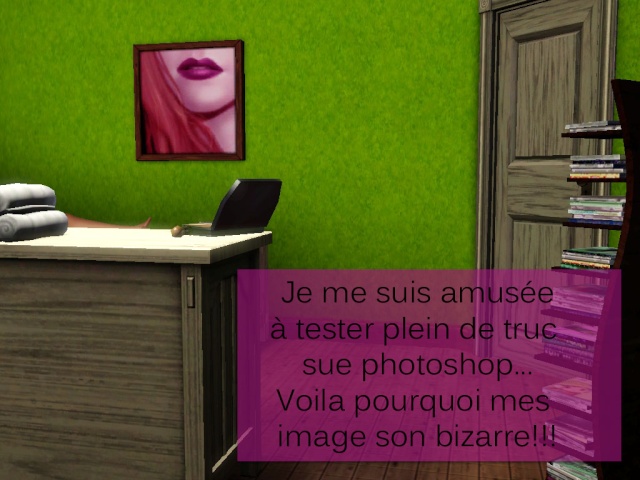 [Créations diverses] Sims-Charline - Page 4 Screen25
