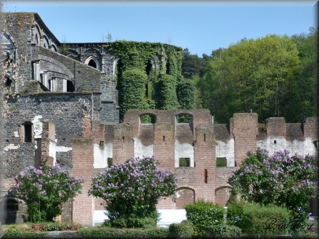 Ruine de l'Abbaye de Villers-la-Ville P1000910