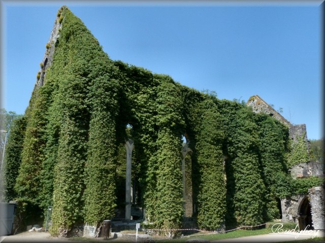 Ruine de l'Abbaye de Villers-la-Ville P1010010