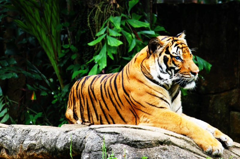 Zoo Melaka Img_9611