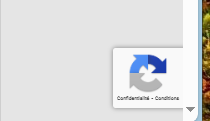 Logo Google Captcha Captu195