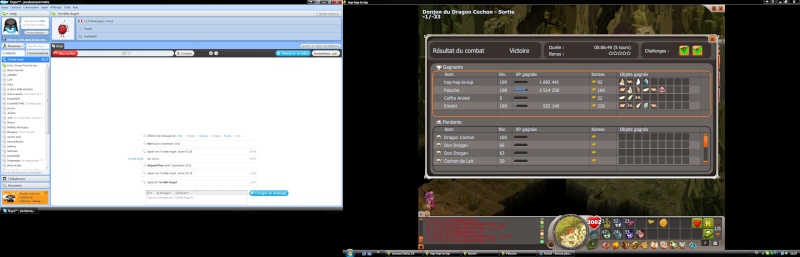 Screen drop abusé ! - Page 11 Dofus_10