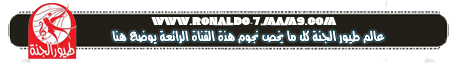 منتديات كريستيانو رونالدو العربية Ronaldo Fourms Ousuo-10