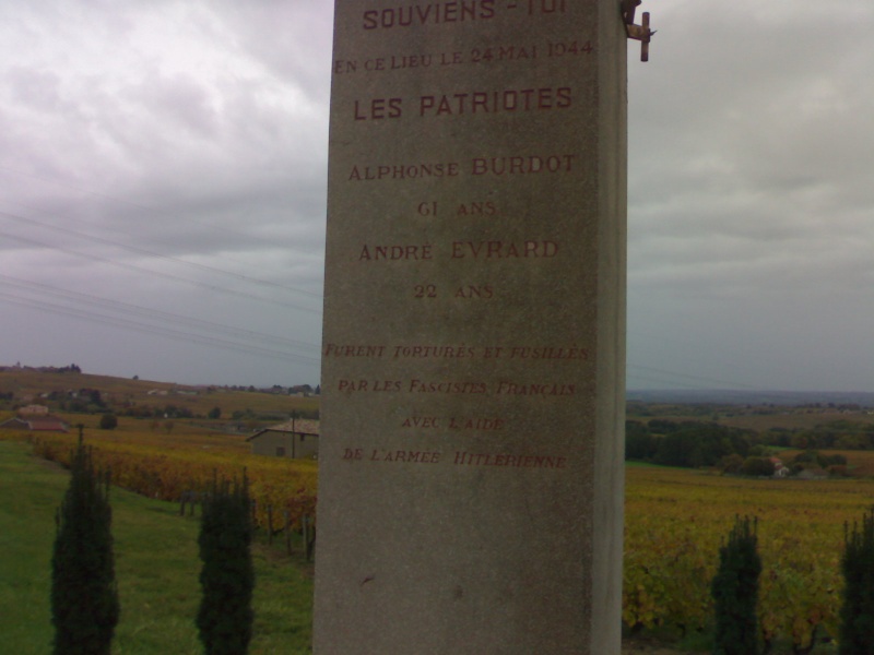 Stèle Région Beaujolais, Villefranche sur Saône 30102011