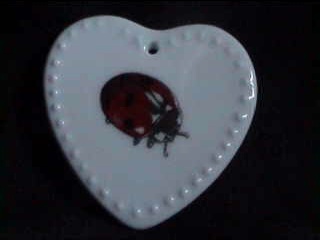 8 - médaillons - pendentifs - coccinelle Medail10