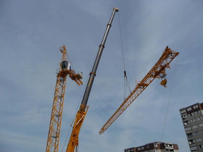 Les grues de GUILLOUART (France) 19051117