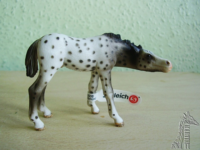 Martin's Schleich newcomers! - Page 3 P1010202