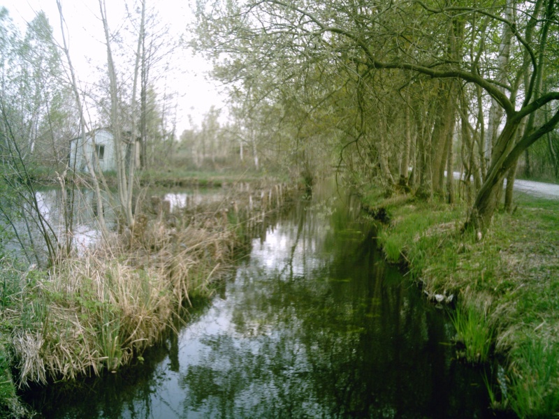 Photos de mes sorties au Marais de la Souche dit le St Boetien Sunp0010