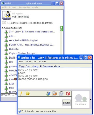 aMSN, Alternativa al Windows Live Messenger Amsn_a10