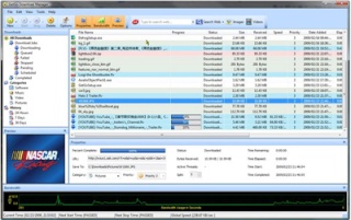 GetGo Download Manager 4.5, Gestor de Descargas Getgo_10
