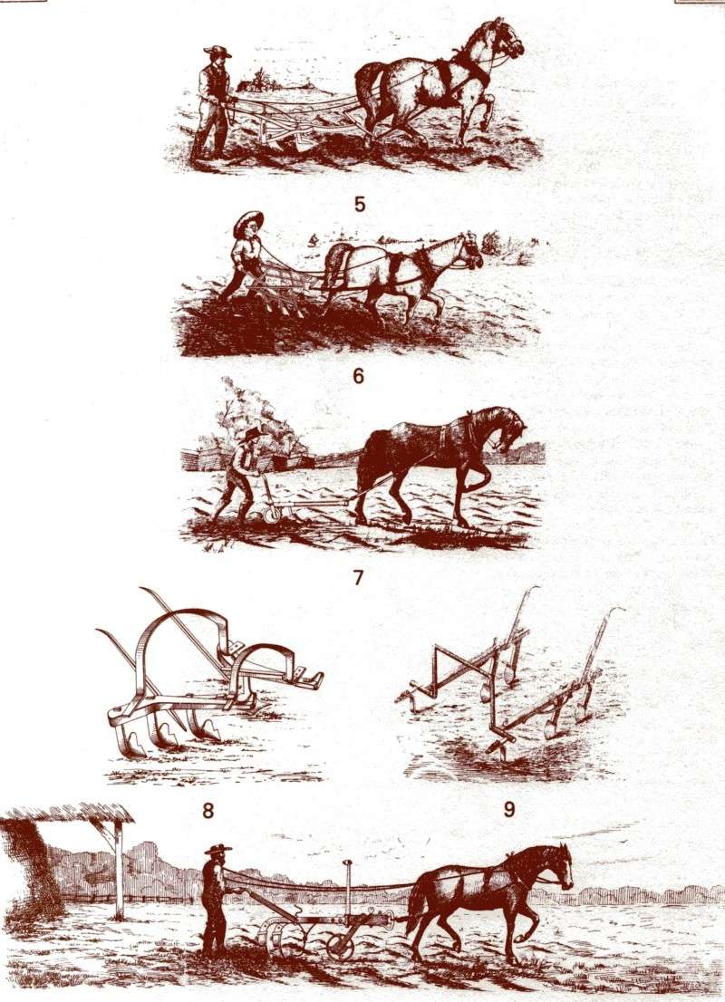 Pour nos jeunes générations, l'évolution de la charrue et autres outils agricoles Sans_146