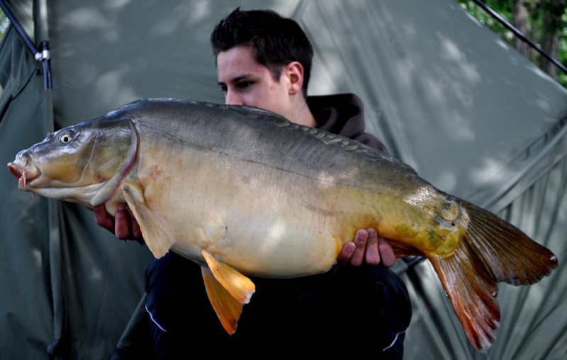 Test bouillettes Nilebaits au etang d andrezieux Pfoua10