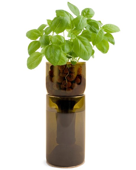  How Many Different Uses For... Empty wine bottles & wine bottle corks... Grow-l10