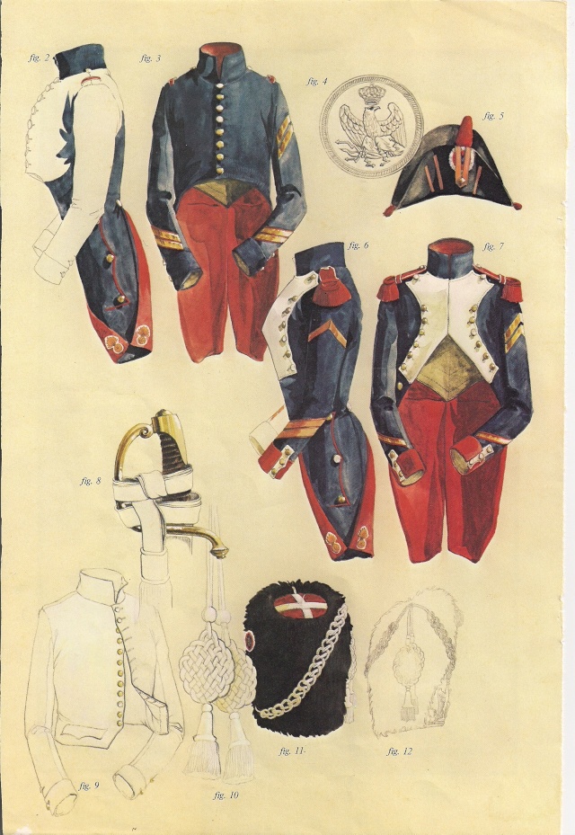 les uniformes des Régiments prestigieux de l' Empire - Page 2 Gre14