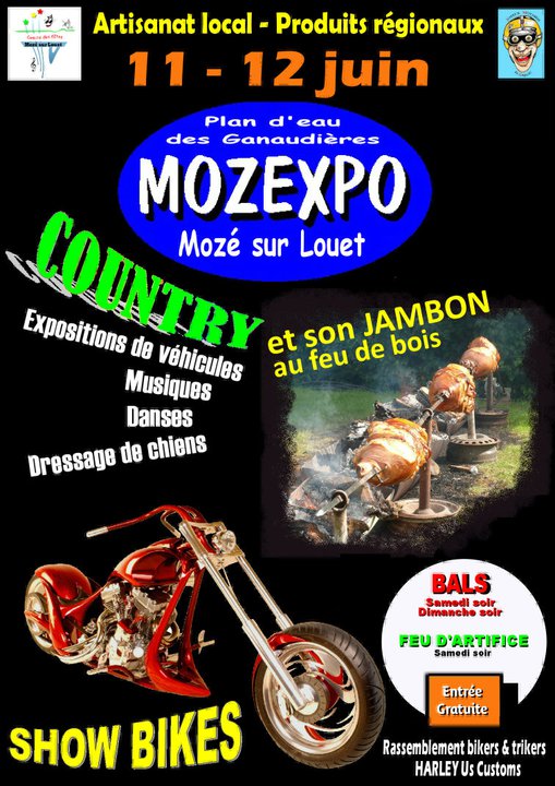 [Fête de la moto à Mozé sur Louet les 11 et 12 juin 2011] 18367111
