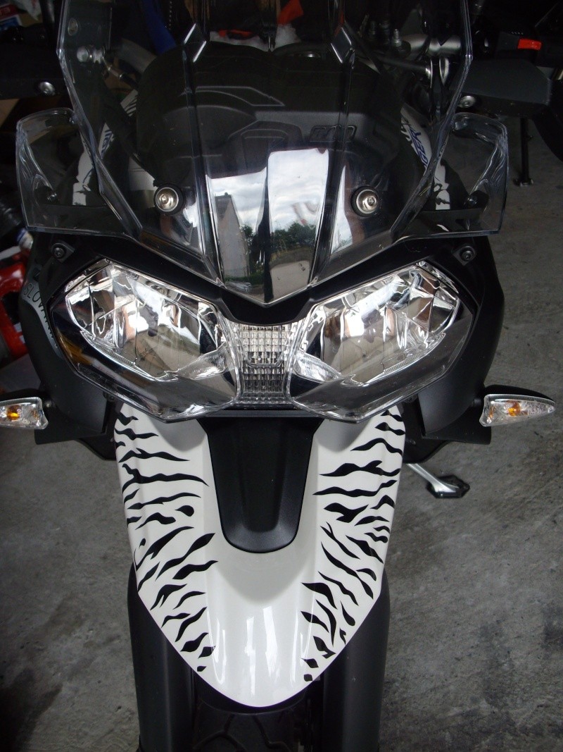 Mon nouveau BB Tiger! - Page 3 Imgp0913