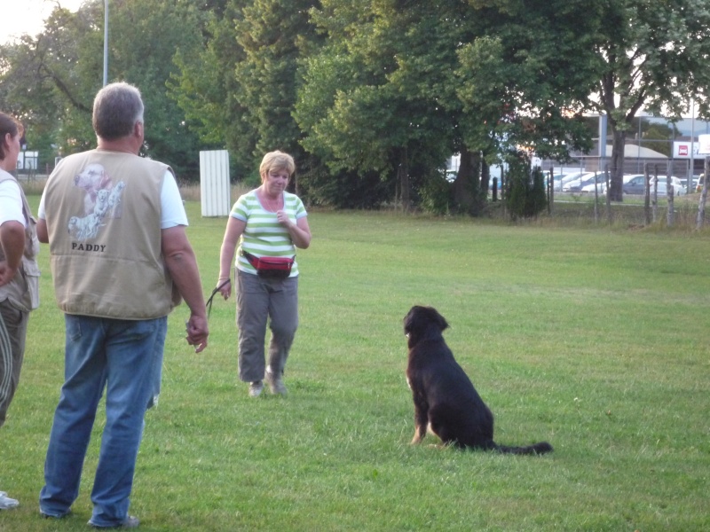 Balou passe sa 1ère validation P1050033