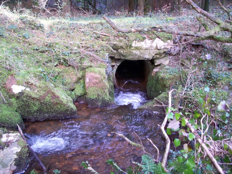 LA SOURCE DE LA DOUFFINE 01210