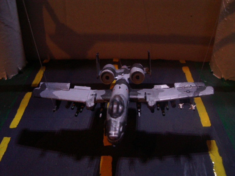 A-10 thunderbolt - Page 3 Imgp5910