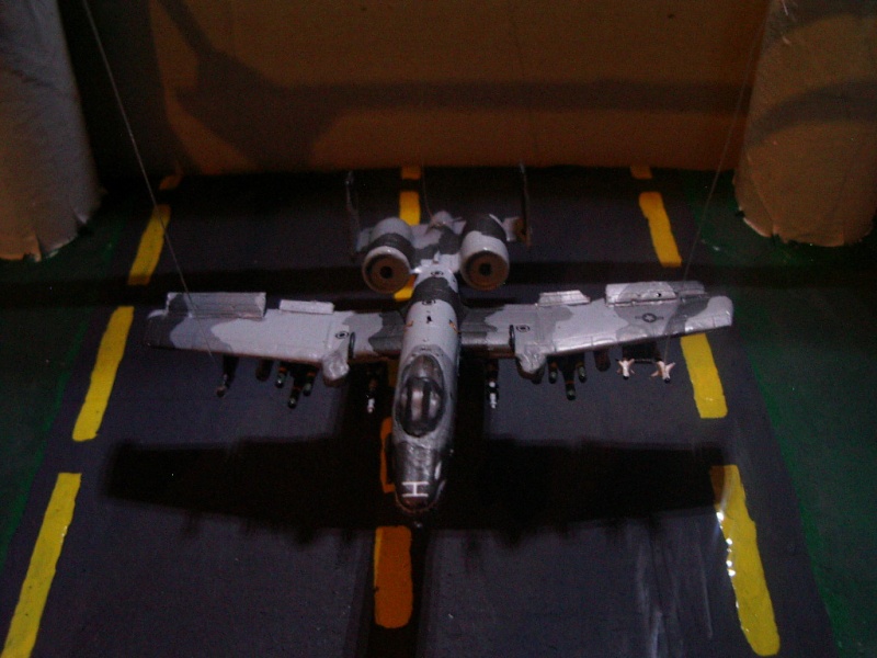 A-10 thunderbolt - Page 3 Imgp5914
