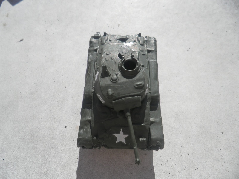 M19 Panzertransporter+M24 Chaffee dio fini...... - Page 3 P6260311