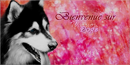 Warriors Dogs ♥  Ton avenir est entre tes pattes ... Wf_wel10