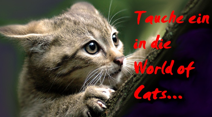 World-of-cats Banner10