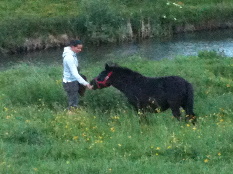 (Dept 71) SYBELLE, mule, chez ADADA ! (Juin 2011) Photo111