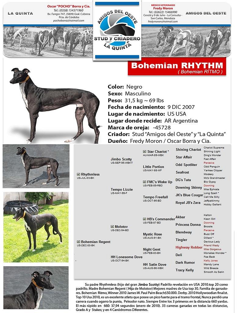 STUD AMIGOS DEL OESTE-STUD LA QUINTA F0cab211