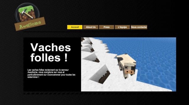 Site Officiel du Serveur AweSome Site10