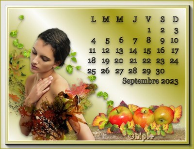 Bienvenue chez Adelette et ses amis 4r7810