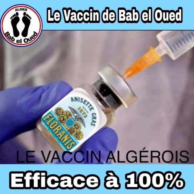 le  vaccin ANTI COVID  PIED-NOIR Image016