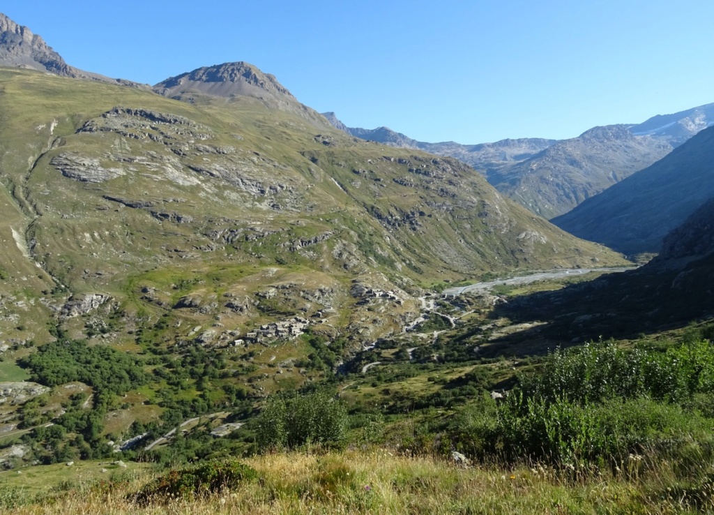 le plein de plantes en Vanoise fin août Ecot-e24