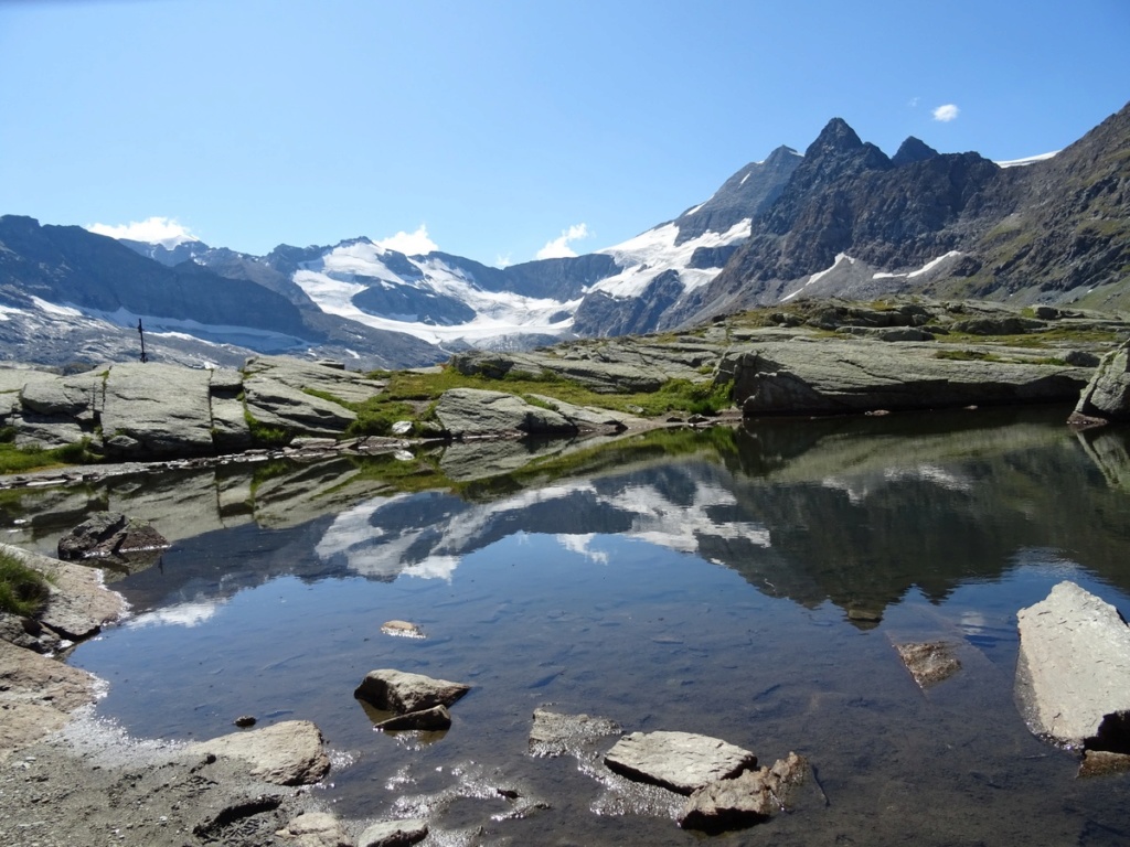 le plein de plantes en Vanoise fin août Ecot-e29