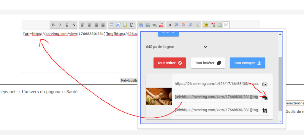 Mettre des photos dans un message Publie14