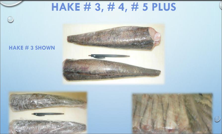 Fish for buyer    F001  000710