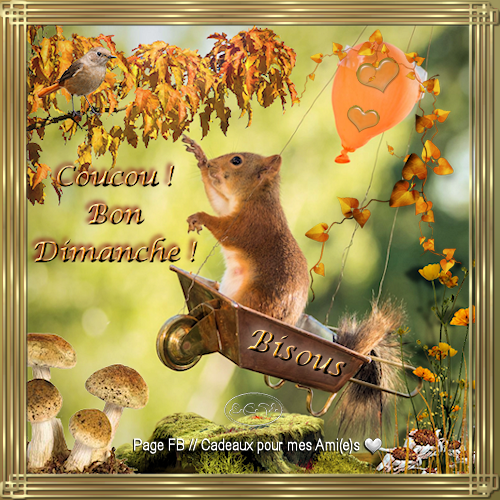 dimanche 3 février 66137910