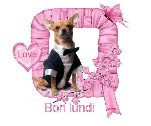 Lundi 31 Décembre 2018 78400610